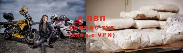 ГАЛЛЮЦИНОГЕННЫЕ ГРИБЫ Навашино