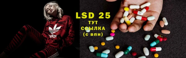 трава Надым