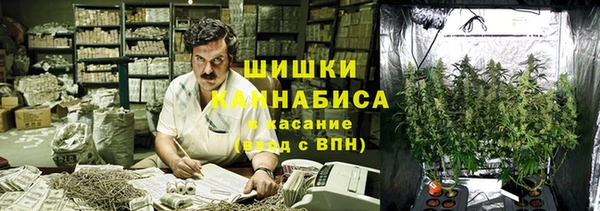 трава Надым