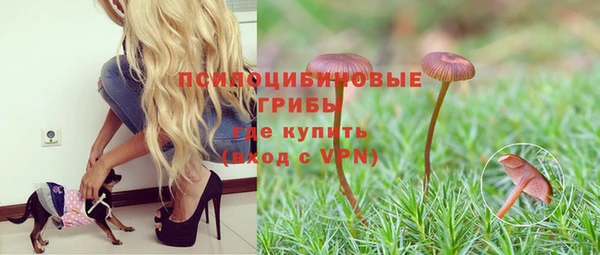 стаф Михайловск