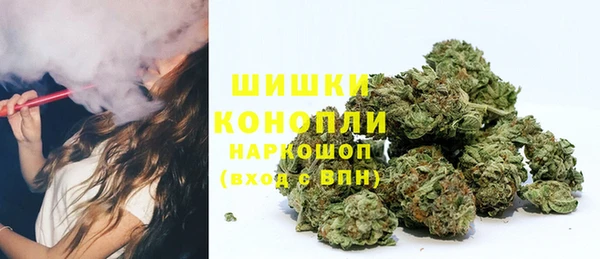 ГАЛЛЮЦИНОГЕННЫЕ ГРИБЫ Навашино