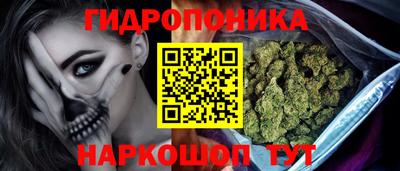 СК Донской