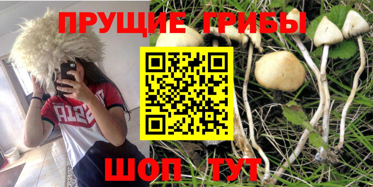 Псилоцибиновые грибы MAGIC MUSHROOMS Лангепас